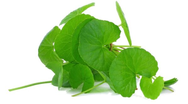 Prostovit contains centella asiatica extract