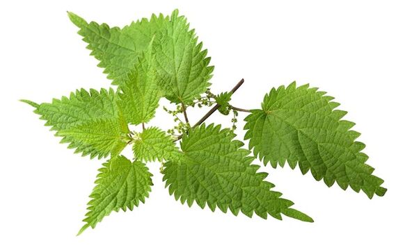 ZXCVNMQWERT will obtain nettle extract