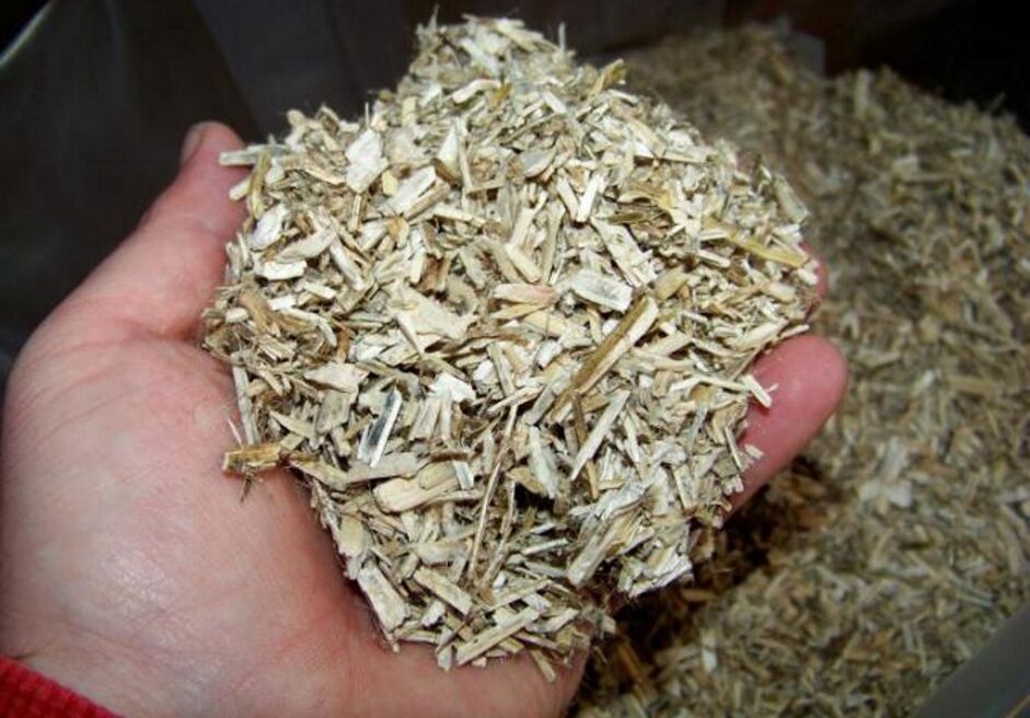 Aspen bark for preparing a medicinal tincture for prostatitis in men.