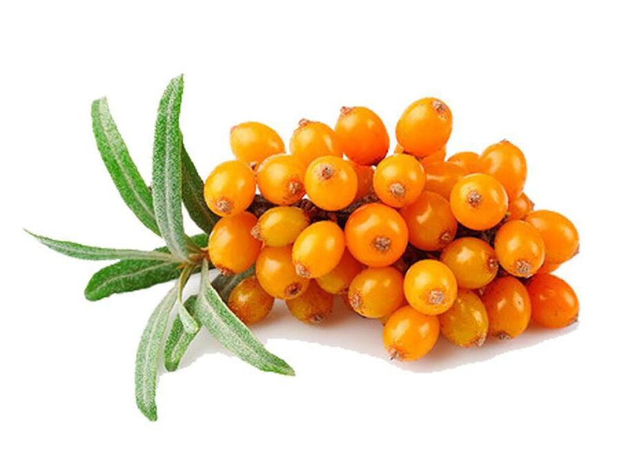 Sea buckthorn, which normalizes the functioning of the prostate during prostatitis. 